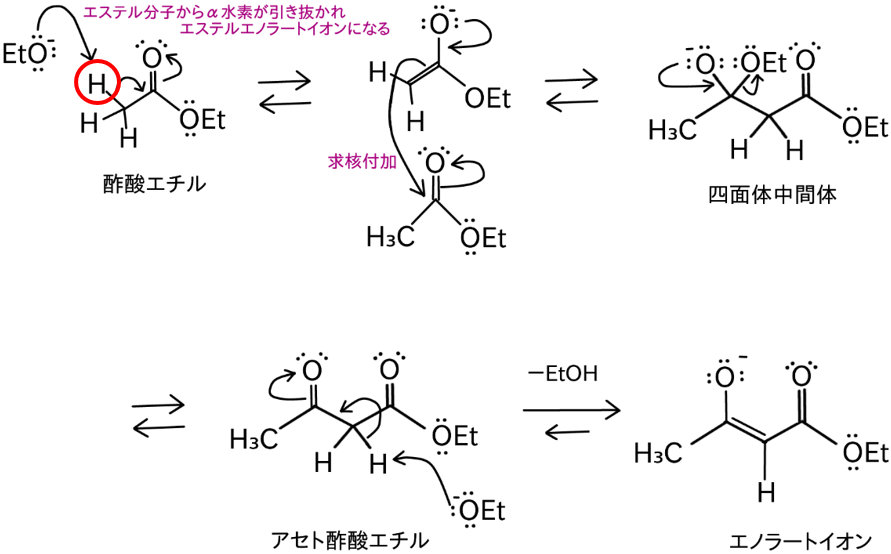 Claisen（クライゼン）縮合の反応機構